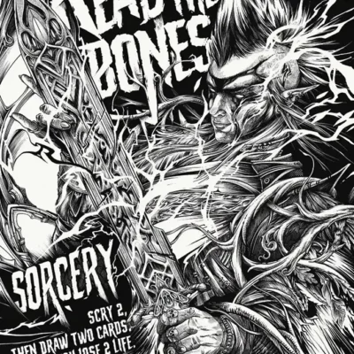Sld 2566 read the bones